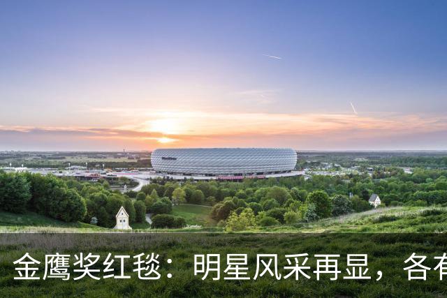金鹰奖红毯：明星风采再显，各有风格与气场
